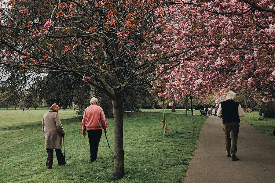 photo-gallery-placeholder-2